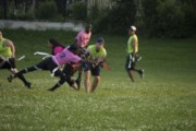 OTFL Gallery Image